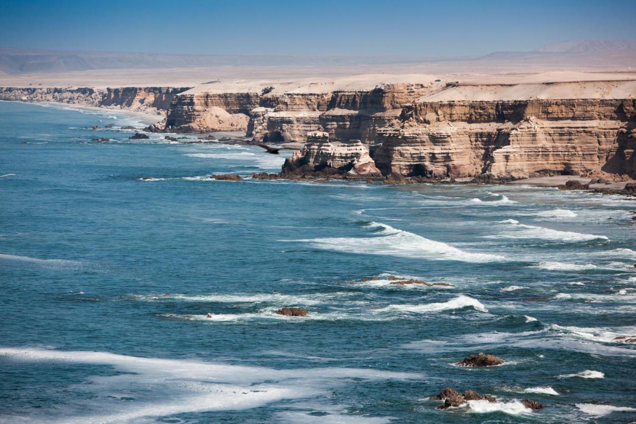 Ibis Styles Antofagasta Hotel Luaran gambar